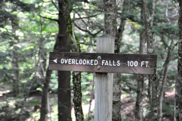 Overlooked Falls sign